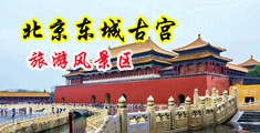嗯啊叫操逼视频中国北京-东城古宫旅游风景区